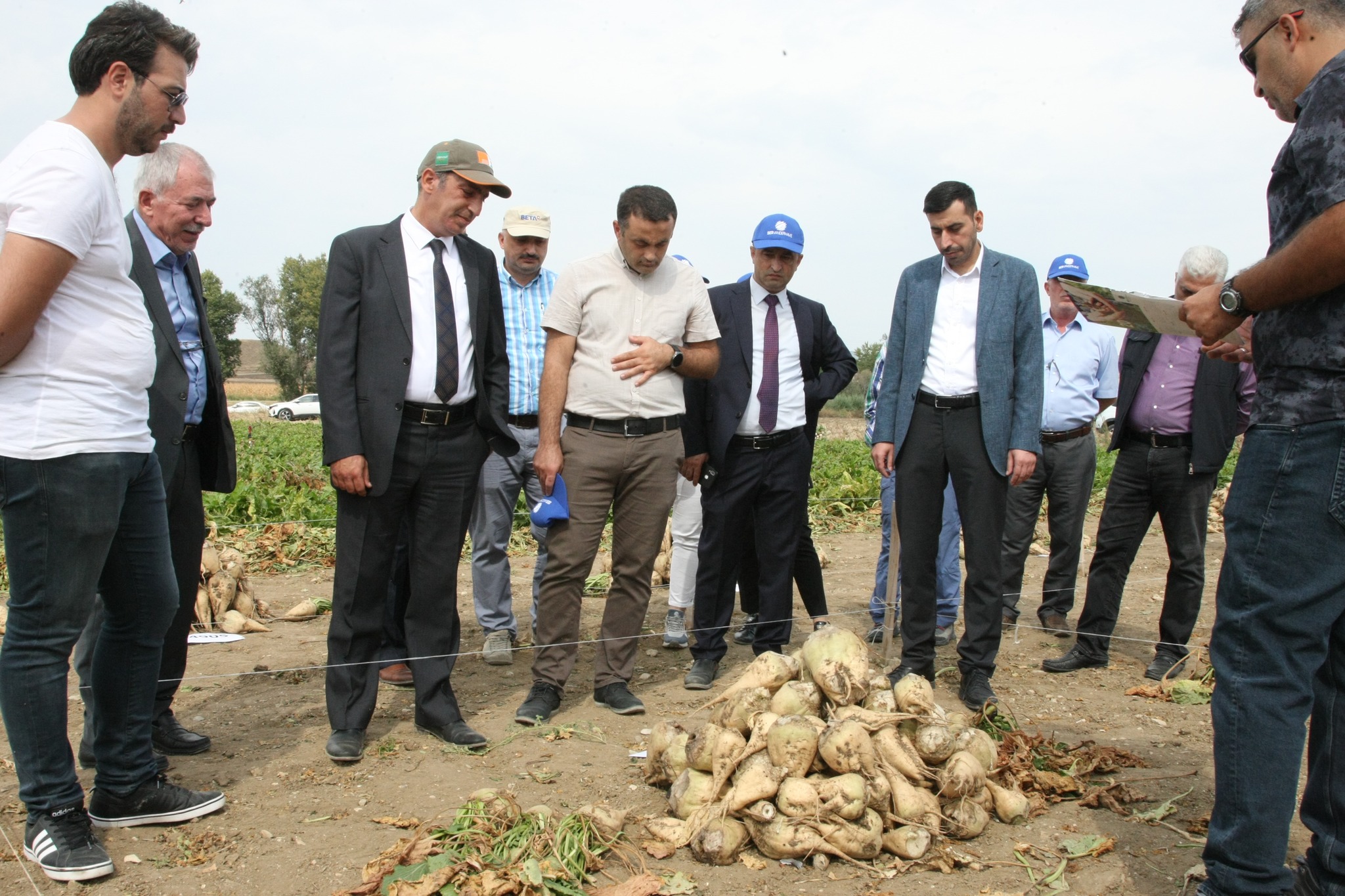 AMASYA ŞEKER FABRİKASI YÖREYE EN UYGUN ŞEKER PANCARI TOHUMUNU BELİRLİYOR