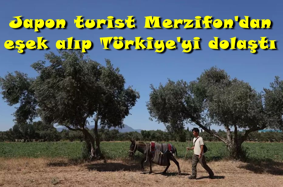 Japon turist Merzifon'dan eşek alıp Türkiye'yi dolaştı