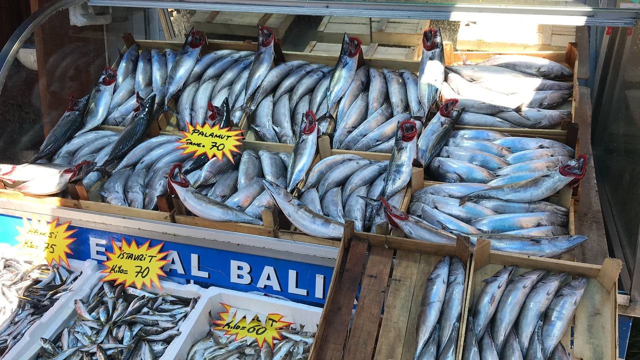 Akçakoca’da balık tezgahları renklendi