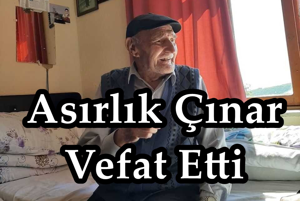 Asırlık Çınar Vefat Etti