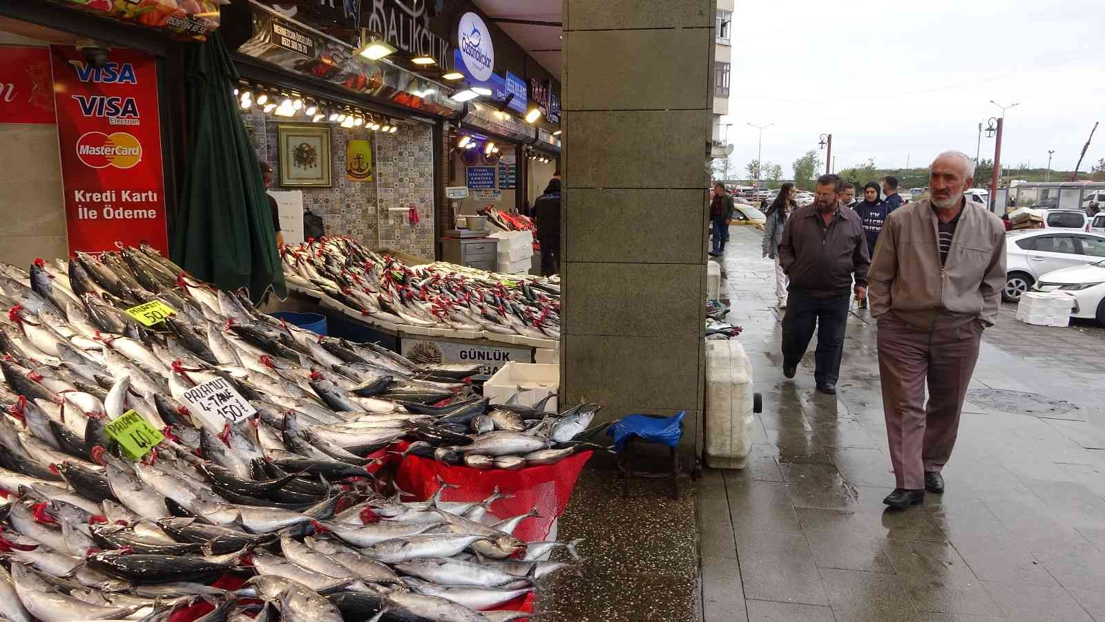 Beklenen palamut göçü gerçekleşti