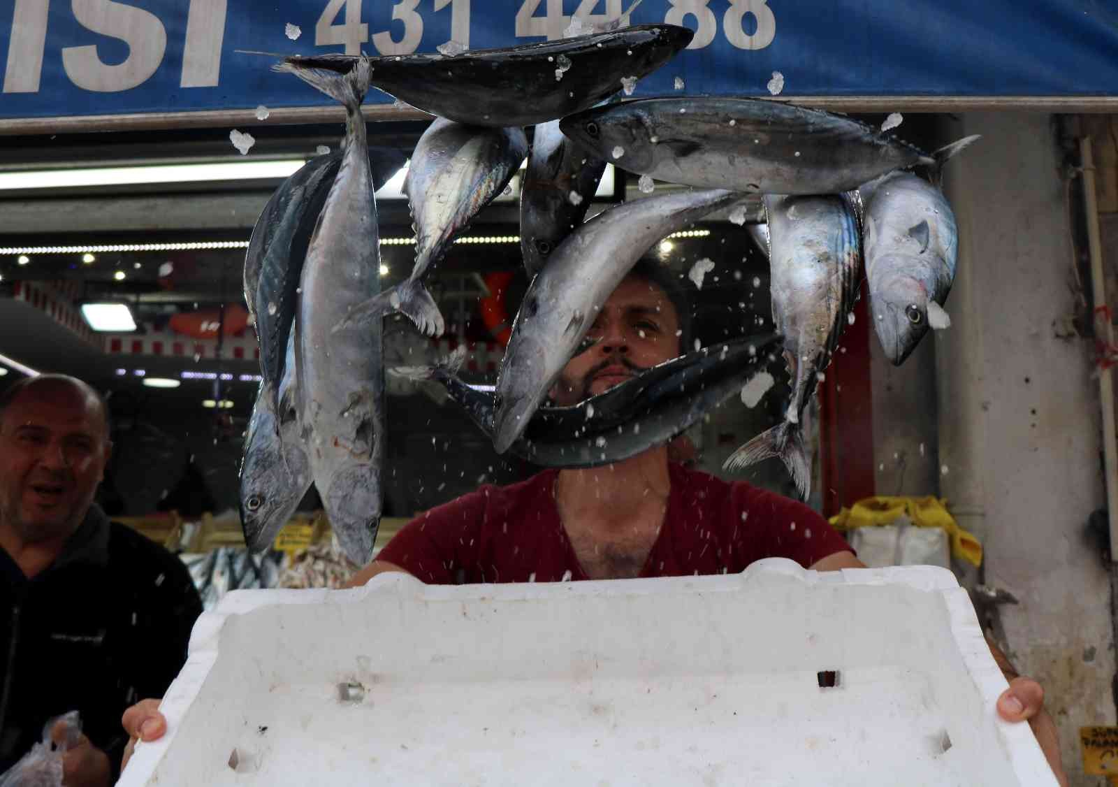 Karadeniz’de balık patlaması