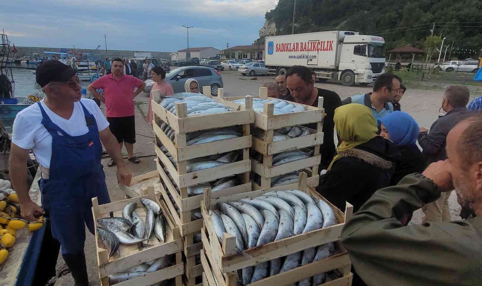 Karadeniz’de balıkçılar kasa kasa palamutla döndü: Vatandaşlara ücretsiz dağıtıldı