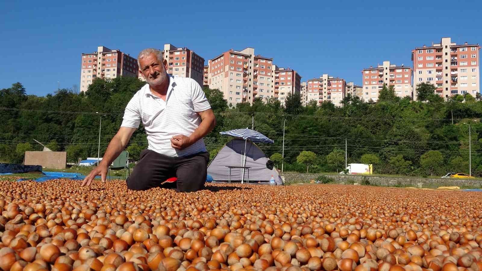 Ordu’da üreticilerin zorlu fındık kurutma mesaisi