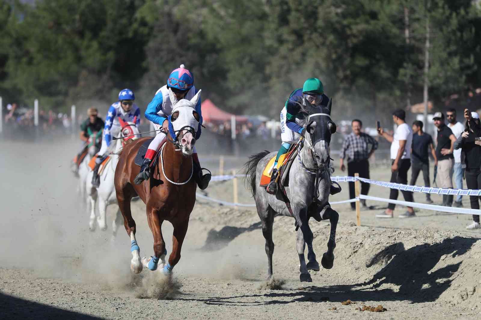 Pırlanta Pirinç Festivali’nde at yarışları nefes kesti