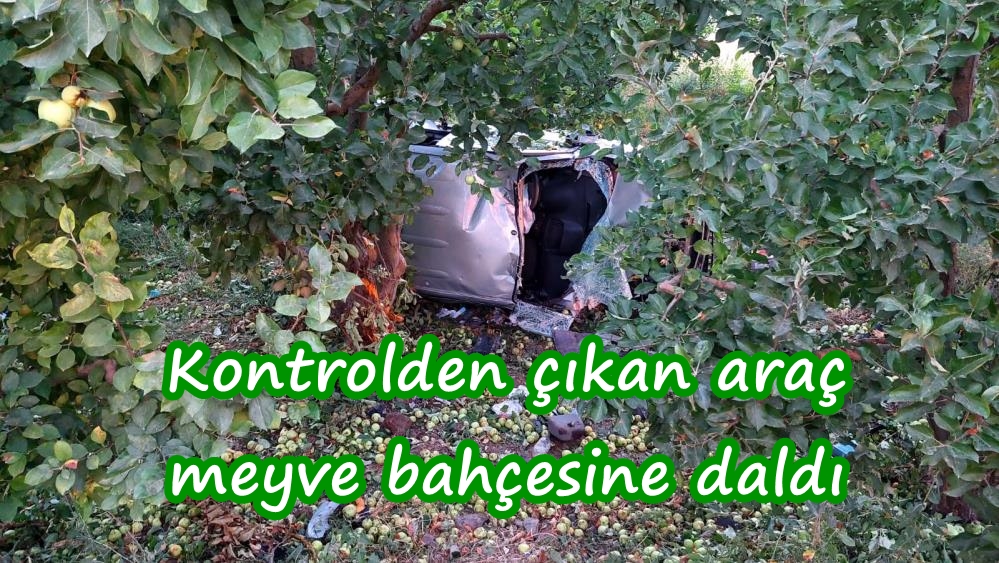  Kontrolden çıkan araç meyve bahçesine daldı