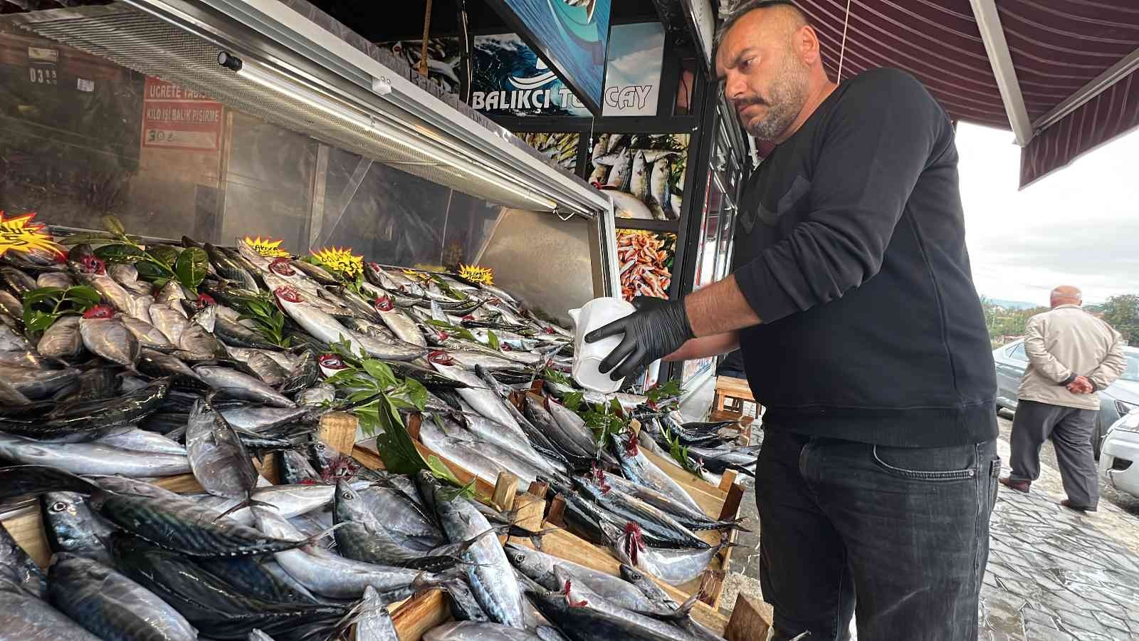 Tezgahlarda palamut bolluğu